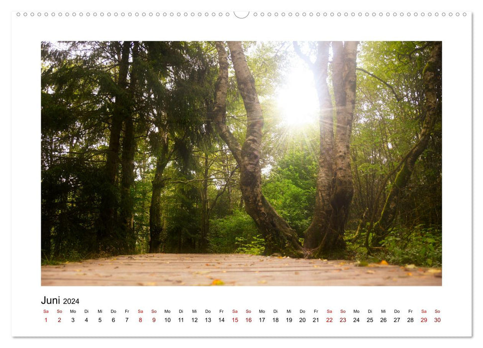 Stimmungsvolle Rhön (CALVENDO Premium Wandkalender 2024)