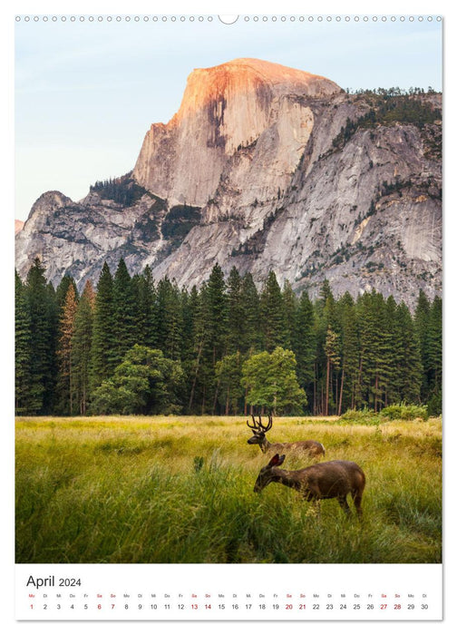 Yosemite National Park - The beautiful national park in California. (CALVENDO wall calendar 2024) 