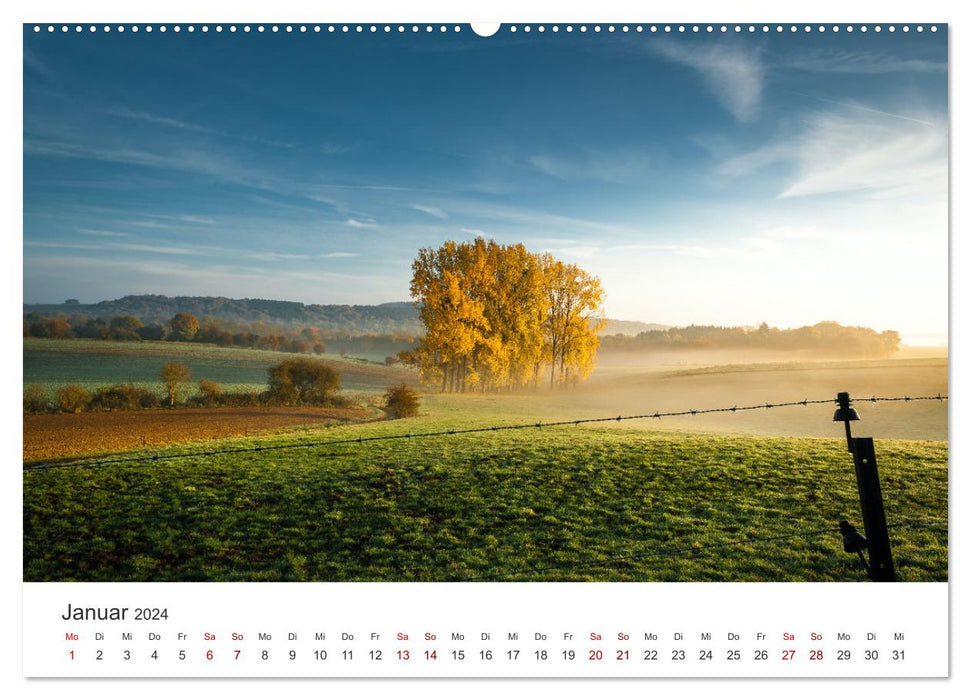 Belgium - Enchanting nature and impressive cities. (CALVENDO wall calendar 2024) 