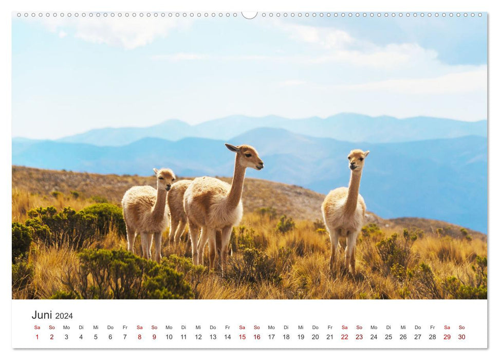 Argentine - polyvalente et riche en contraste (Calvendo Premium Wall Calendar 2024) 