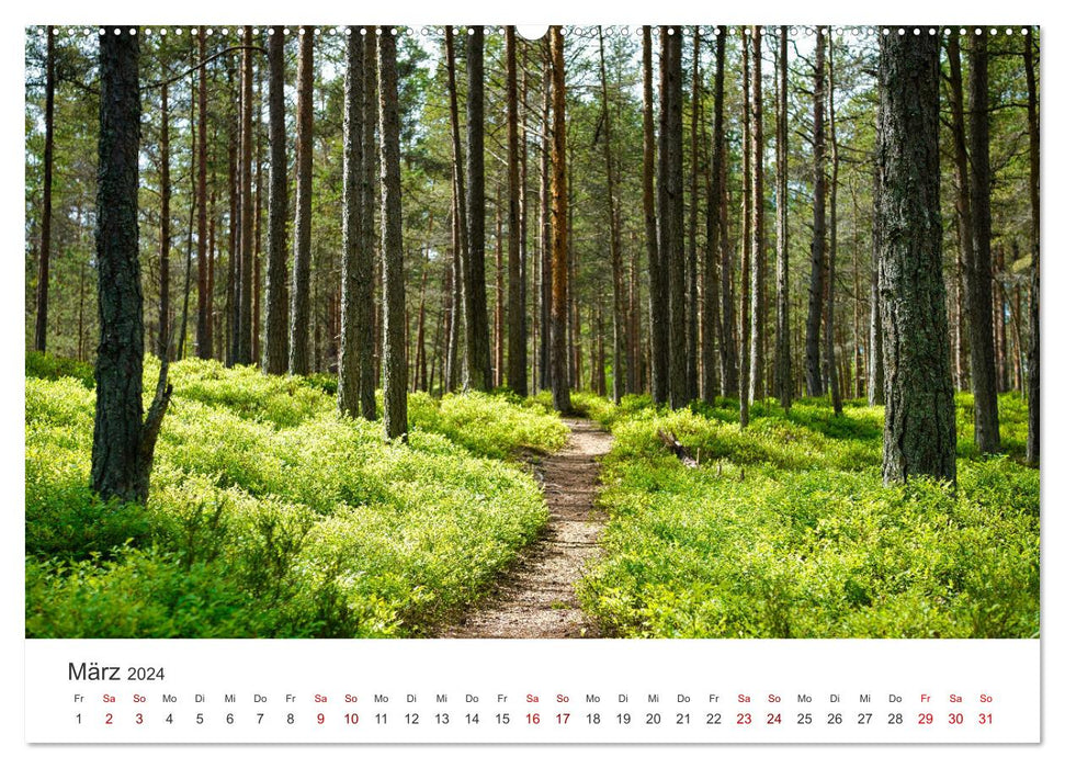 Estonia - An unknown paradise. (CALVENDO wall calendar 2024) 
