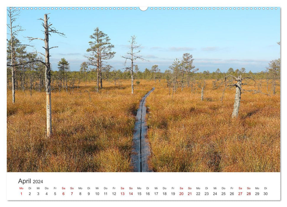 Estonia - An unknown paradise. (CALVENDO wall calendar 2024) 