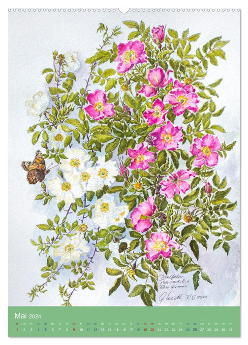 Morceaux de prairie &amp; roses sauvages (calendrier mural CALVENDO 2024) 