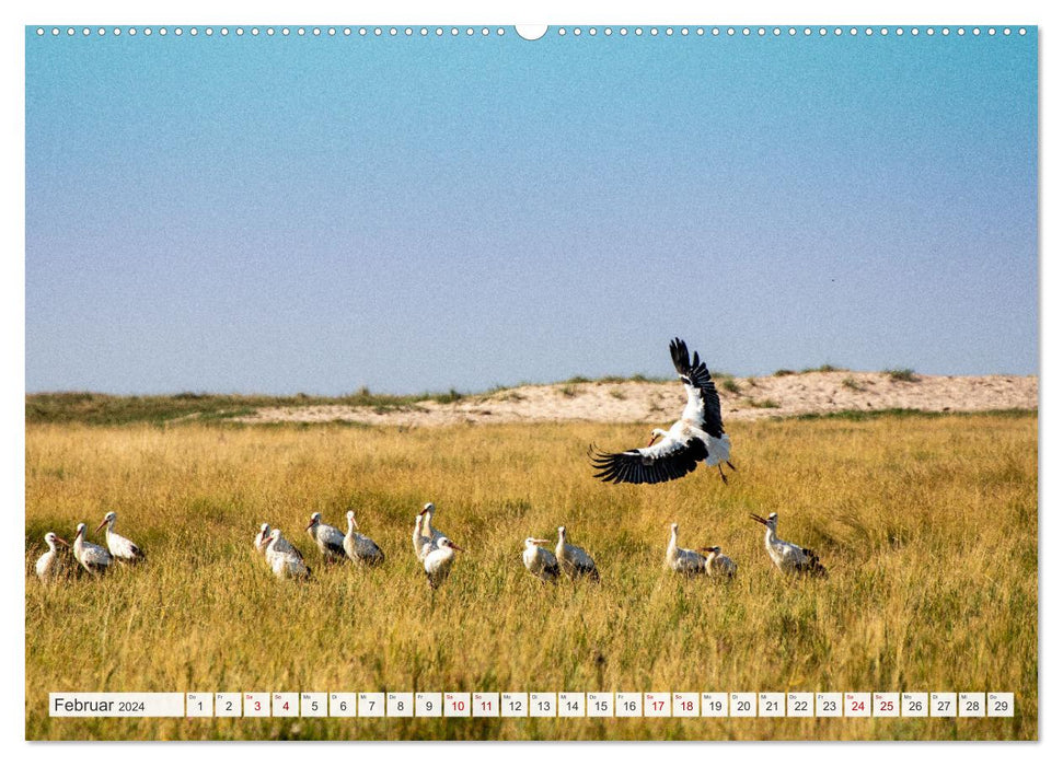 Vacation in North Frisia (CALVENDO Premium Wall Calendar 2024) 