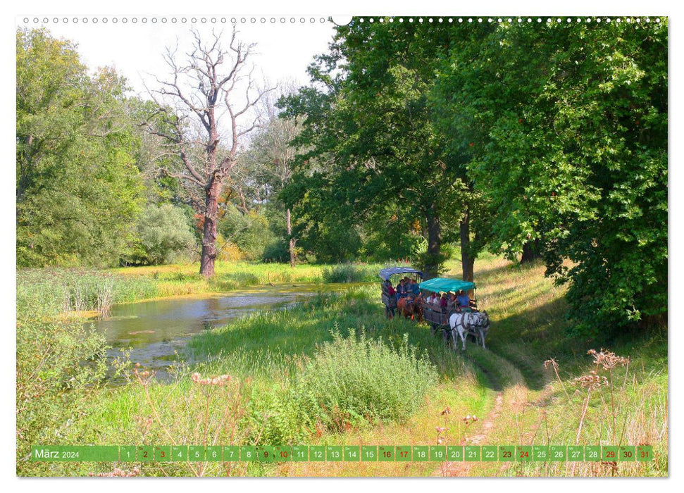 Leisure activities in Saxony-Anhalt (CALVENDO wall calendar 2024) 