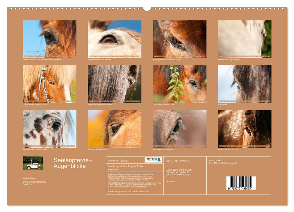 Seelenpferde - Augenblicke (CALVENDO Premium Wandkalender 2024)