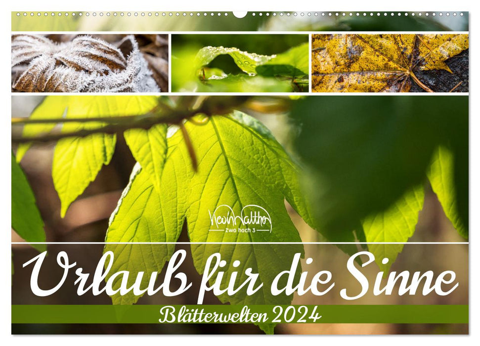 Urlaub für die Sinne - Blätterwelten (CALVENDO Wandkalender 2024)