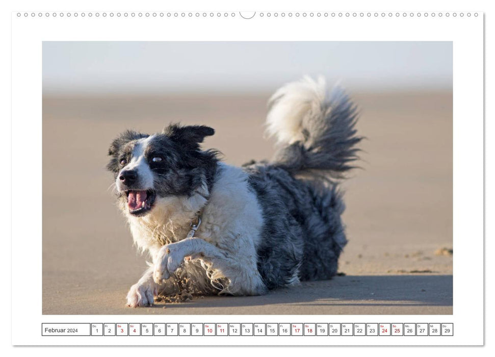 Strand-Strolche (CALVENDO Wandkalender 2024)