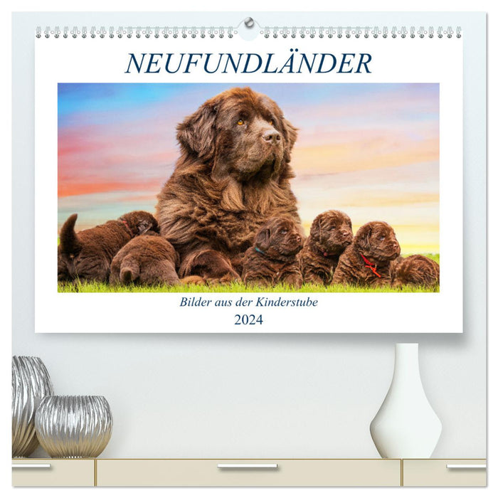 Newfoundland dog - pictures from the nursery (CALVENDO Premium wall calendar 2024) 