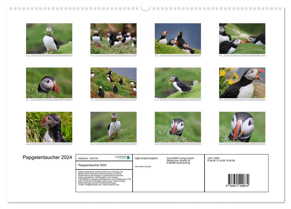 Puffin 2024 - Magical Birds of the Northern Sea (CALVENDO Wall Calendar 2024) 