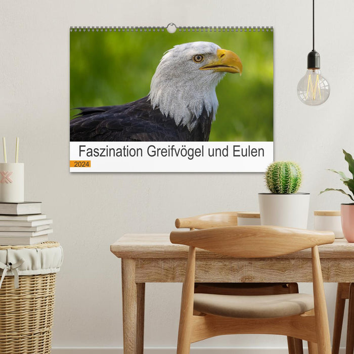 Fascination pour les rapaces et les hiboux (calendrier mural CALVENDO 2024) 