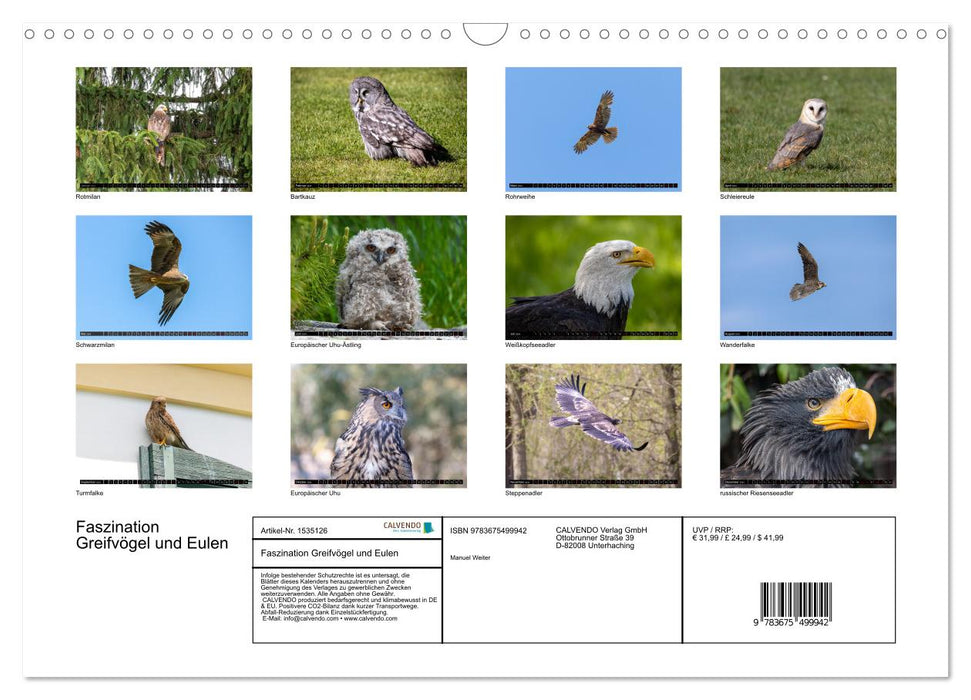 Fascination with birds of prey and owls (CALVENDO wall calendar 2024) 