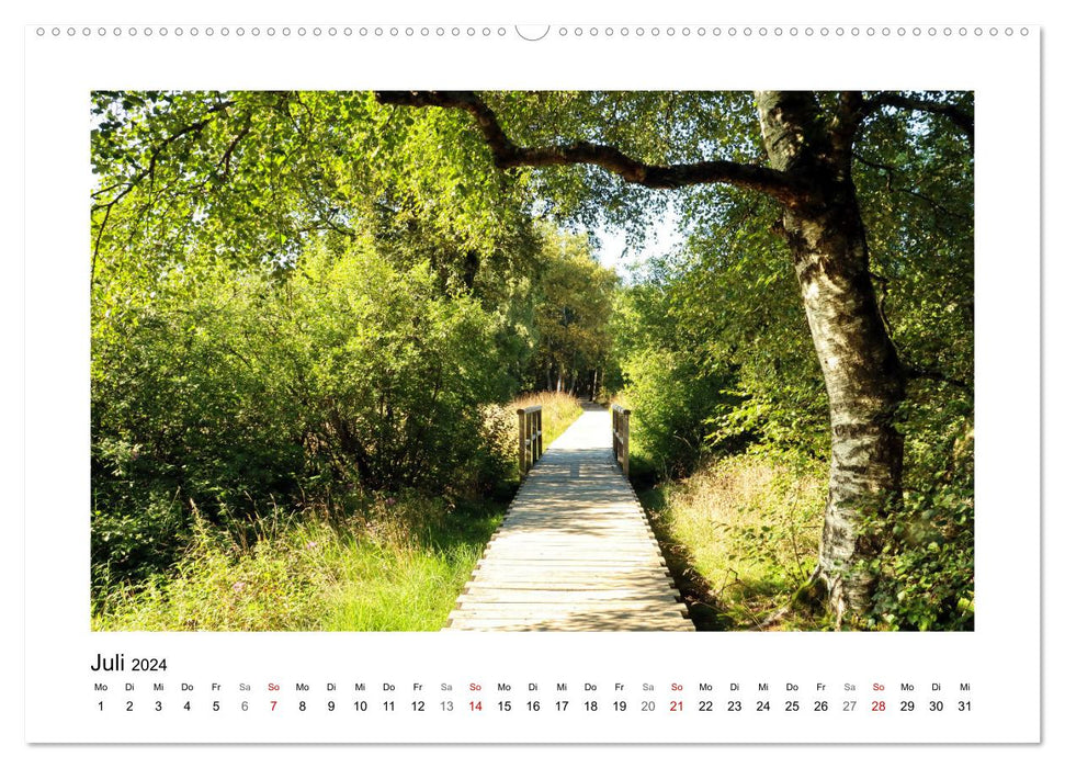 Rotes und Schwarzes Moor (CALVENDO Premium Wandkalender 2024)