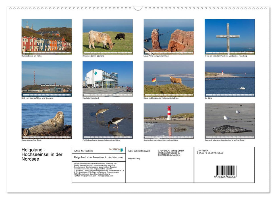 Helgoland - offshore island in the North Sea (CALVENDO Premium Wall Calendar 2024) 