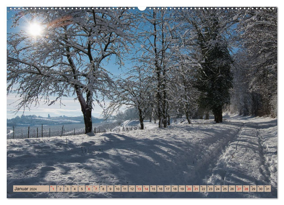 Ortenau - die badische Toskana (CALVENDO Premium Wandkalender 2024)