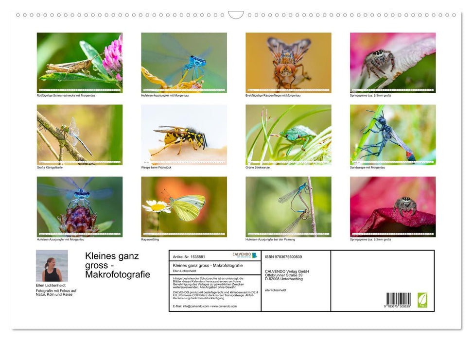 Small things are big - macro photography (CALVENDO wall calendar 2024) 