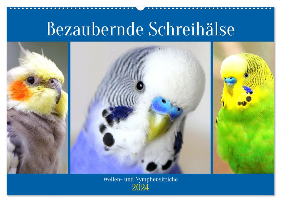Adorable screamers. Budgies and cockatiels (CALVENDO wall calendar 2024) 