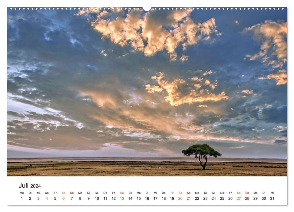 NAMIBIA • Lebensader Wasser (CALVENDO Premium Wandkalender 2024)