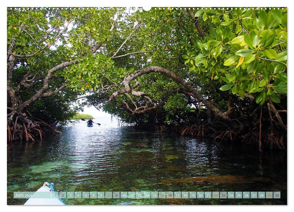 Raja Ampat - Impressions (CALVENDO wall calendar 2024) 