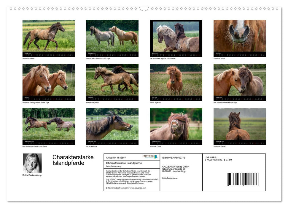 Charakterstarke Islandpferde (CALVENDO Premium Wandkalender 2024)