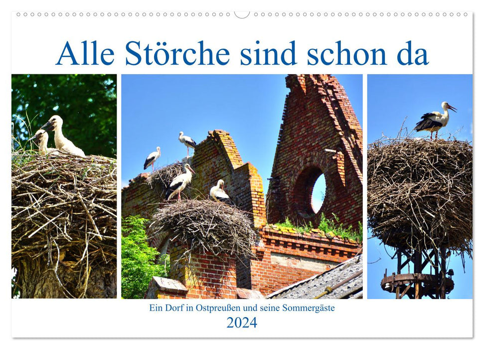 All the storks are already here - A village in East Prussia and its summer guests (CALVENDO wall calendar 2024) 
