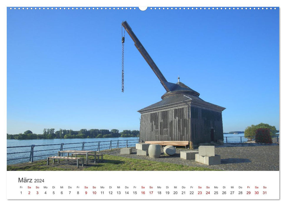 Rheingau - Terre de vin et de bâtiments (Calvendo Premium Wall Calendar 2024) 