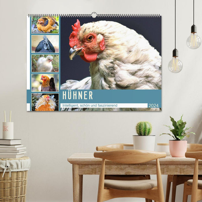 Poulet. Intelligent, beau et fascinant (calendrier mural CALVENDO 2024) 