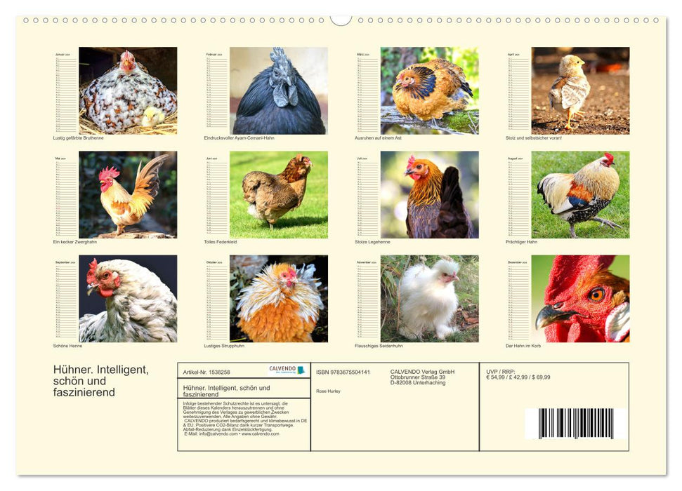 Chicken. Intelligent, beautiful and fascinating (CALVENDO wall calendar 2024) 