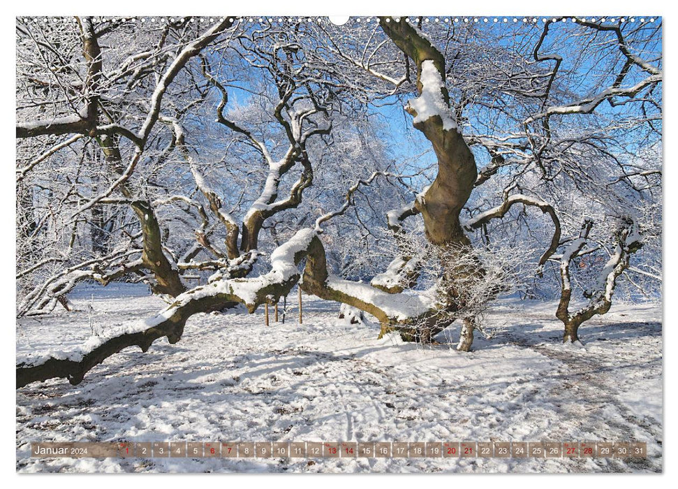 Bad Nenndorf, Kurpark impressions (CALVENDO wall calendar 2024) 