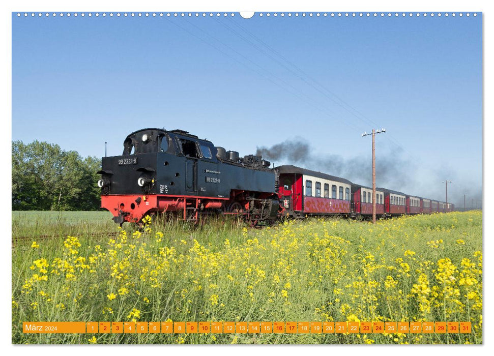 Dampfeisenbahnen in Deutschland (CALVENDO Wandkalender 2024)