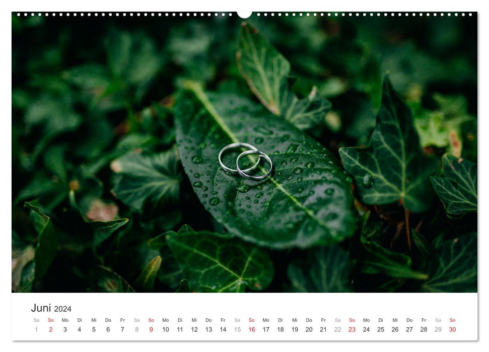 Wedding Rings (CALVENDO Premium Wall Calendar 2024) 