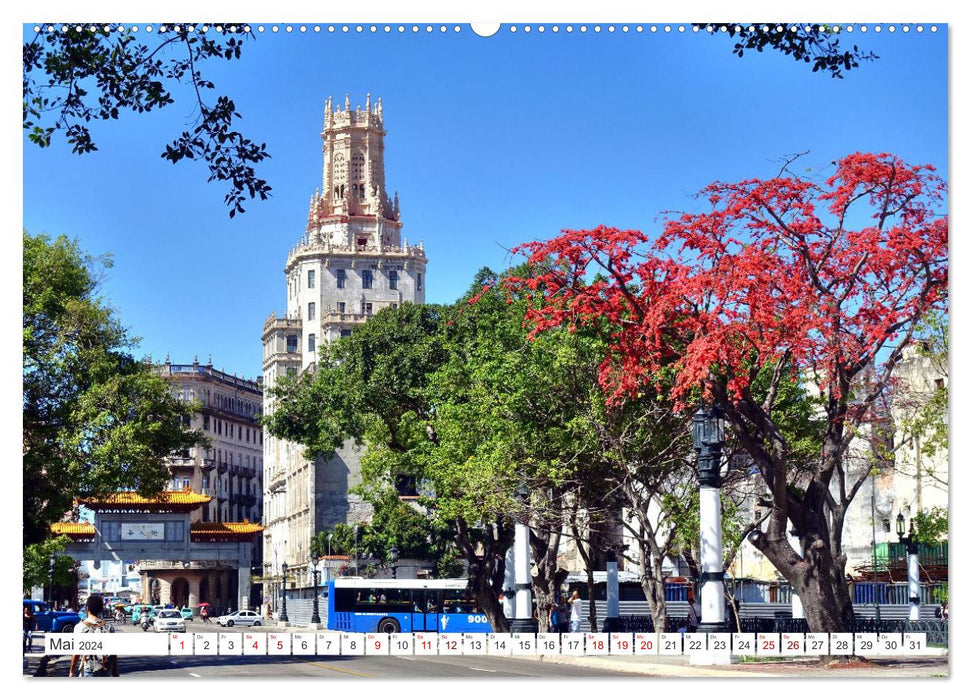 Havana in Bloom (CALVENDO Premium Wall Calendar 2024) 