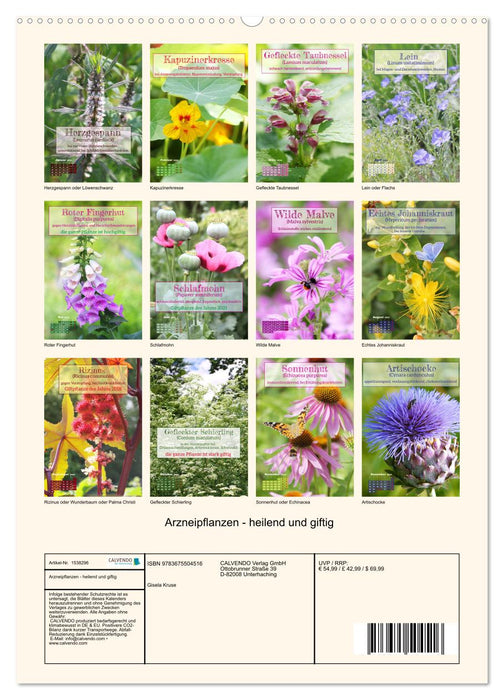 Arzneipflanzen - heilend und giftig (CALVENDO Wandkalender 2024)