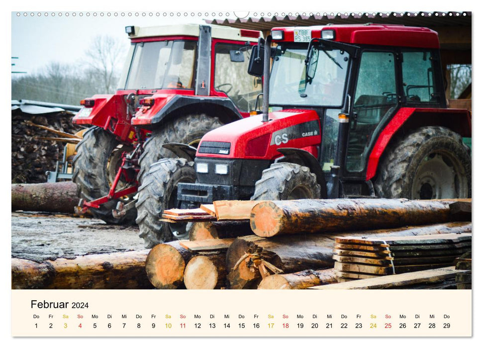 The fascination of wood (CALVENDO wall calendar 2024) 
