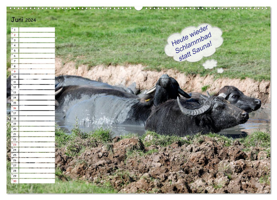 Wenn Tiere Sprechen könnten! Der lustige Sprüche Geburtstagskalender (CALVENDO Wandkalender 2024)