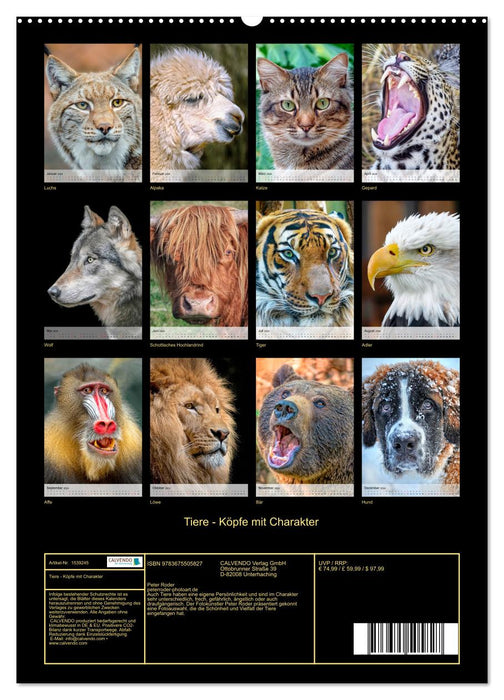 Tiere - Köpfe mit Charakter (CALVENDO Premium Wandkalender 2024)