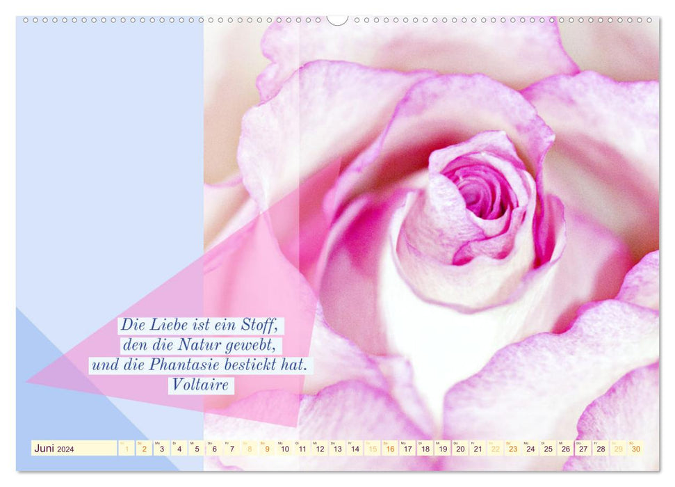 Rosenrote Gefühle, Rosen schmücken Worte der Liebe (CALVENDO Wandkalender 2024)