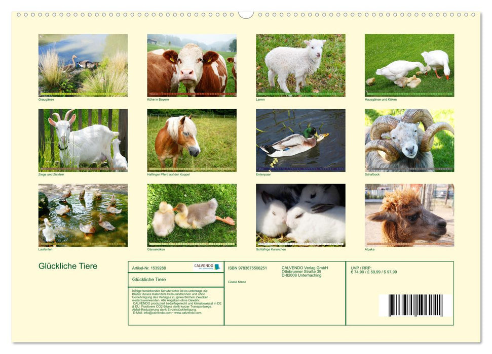 Glückliche Tiere (CALVENDO Premium Wandkalender 2024)