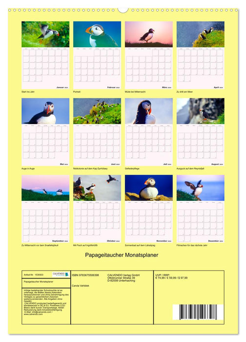 Papageitaucher Monatsplaner (CALVENDO Premium Wandkalender 2024)