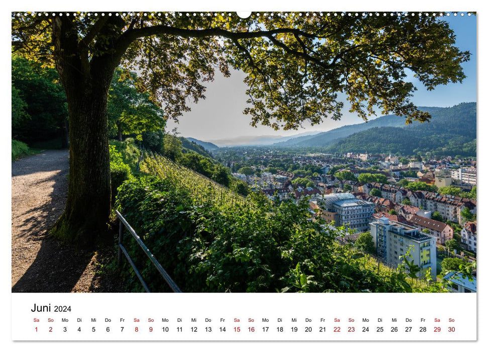 Freiburg, everything around (CALVENDO wall calendar 2024) 