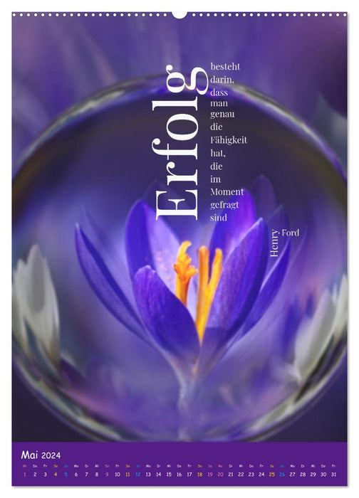 Time for...change with wisdom and quotes (CALVENDO wall calendar 2024) 
