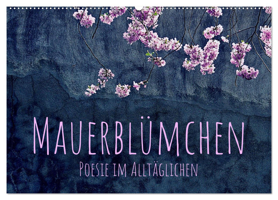 Mauerblümchen - Poesie im Alltäglichen (CALVENDO Wandkalender 2024)