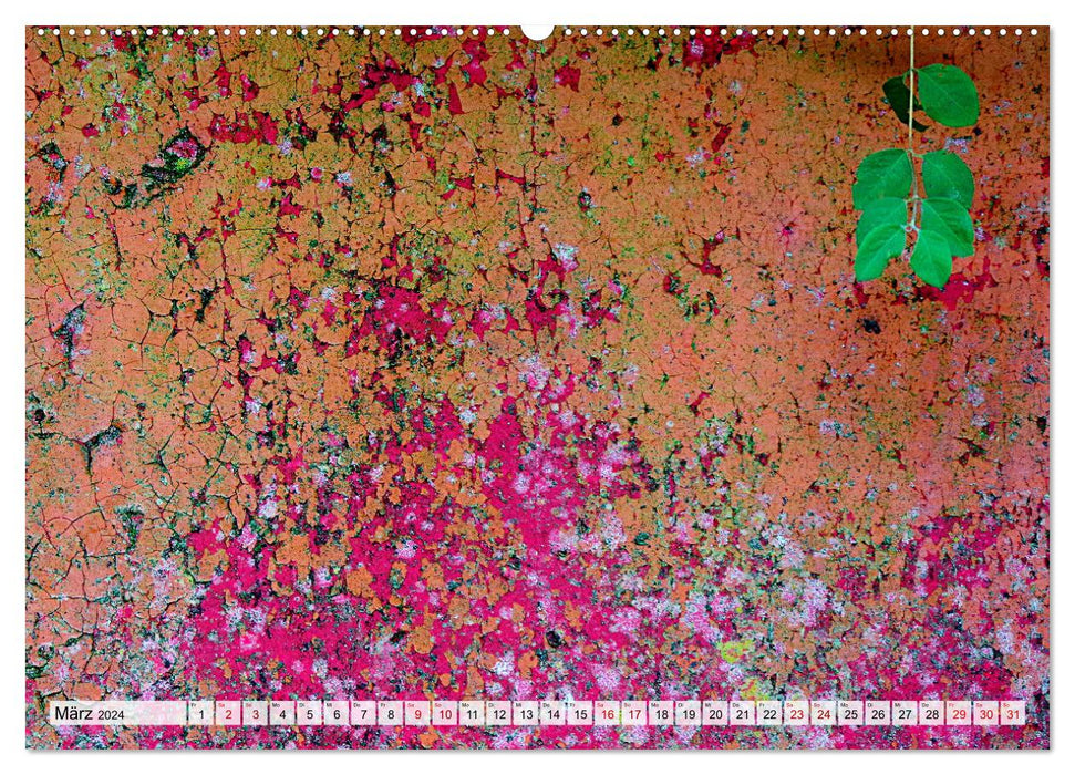 Wallflowers - Poetry in the Everyday (CALVENDO Wall Calendar 2024) 