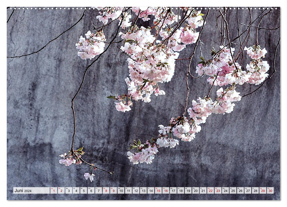 Wallflowers - Poetry in the Everyday (CALVENDO Wall Calendar 2024) 