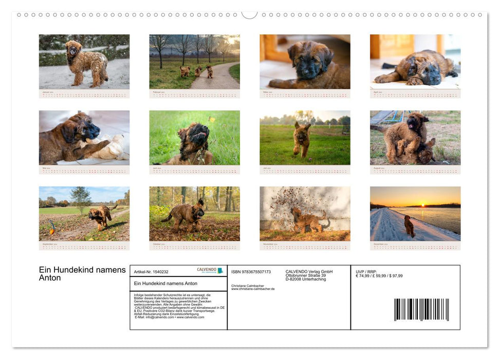 Ein Hundekind namens Anton (CALVENDO Premium Wandkalender 2024)