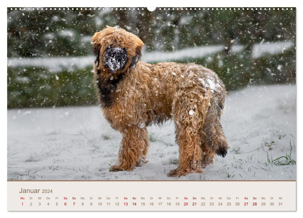 Ein Hundekind namens Anton (CALVENDO Premium Wandkalender 2024)