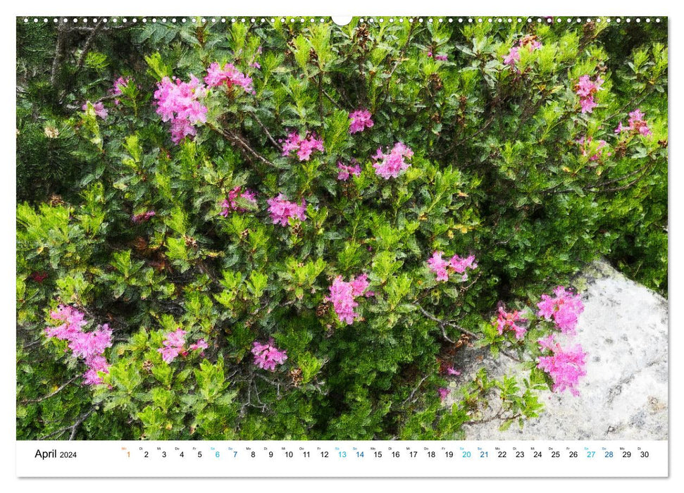 Alpine mountain world Tyrol - Illustrated in the most beautiful colors (CALVENDO wall calendar 2024) 