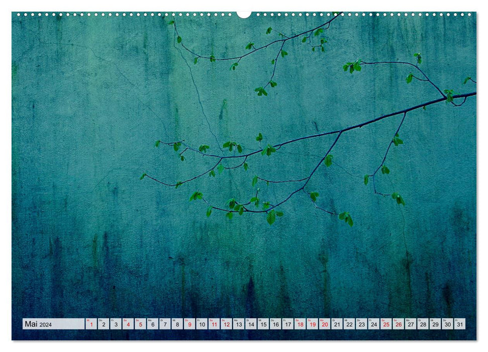 Mauerblümchen - Poesie im Alltäglichen (CALVENDO Premium Wandkalender 2024)