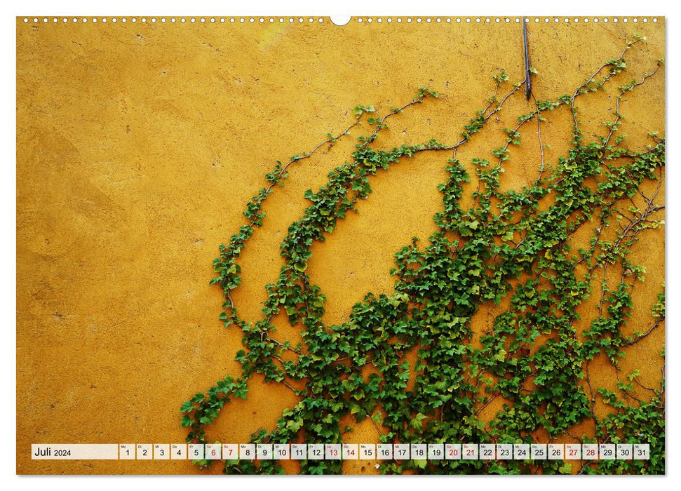 Wallflowers - Poetry in the Everyday (CALVENDO Premium Wall Calendar 2024) 