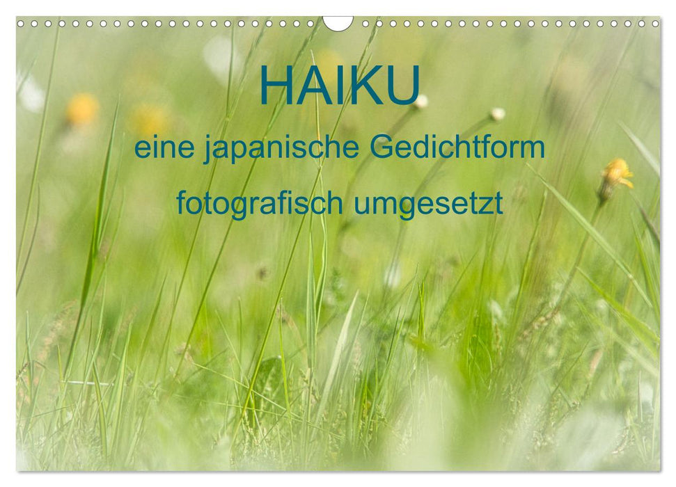 HAIKU, eine fotografische Interpretation (CALVENDO Wandkalender 2024)
